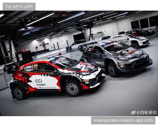 赛车 WRC:车手飞出赛道奇迹生还 赛车 WRC:车手飞出赛道奇迹生还