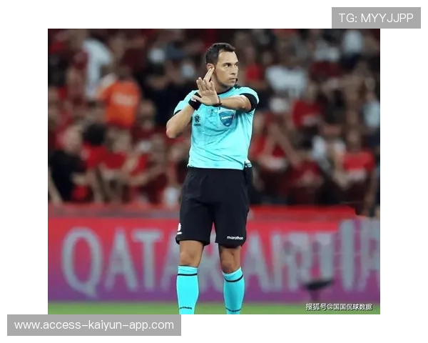 欧洲杯比赛中的裁判表现被媒体评估并公开讨论，欧洲杯每场比赛裁判