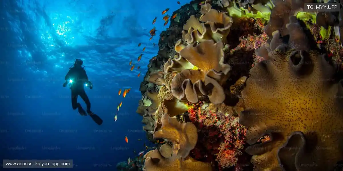 一键开启,赛事秒达,高清直播永不掉线!📺🚀